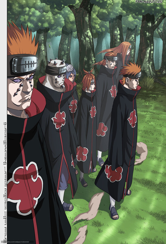 Akatsuki members in forest
