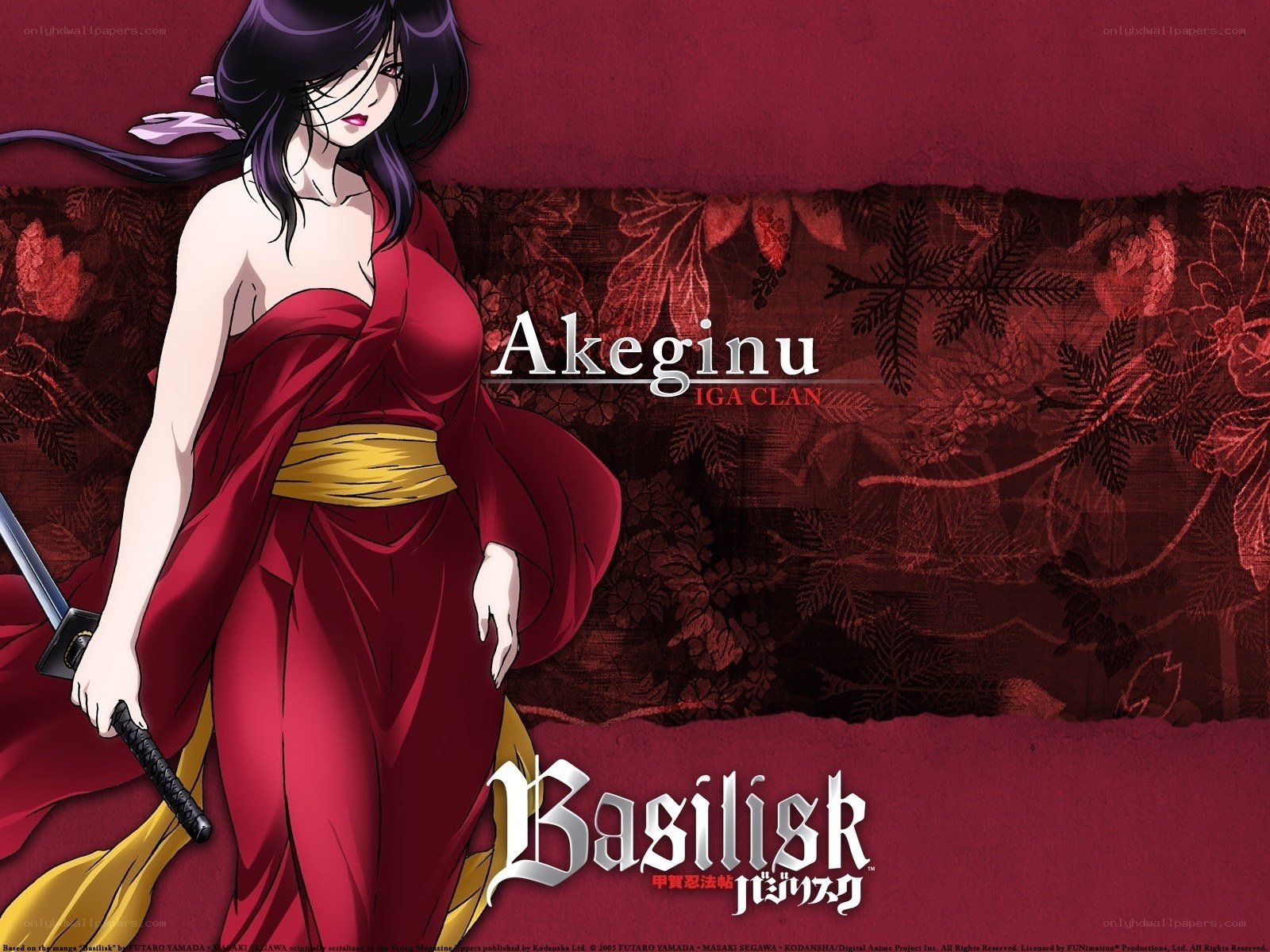 Akeginu from Basilisk