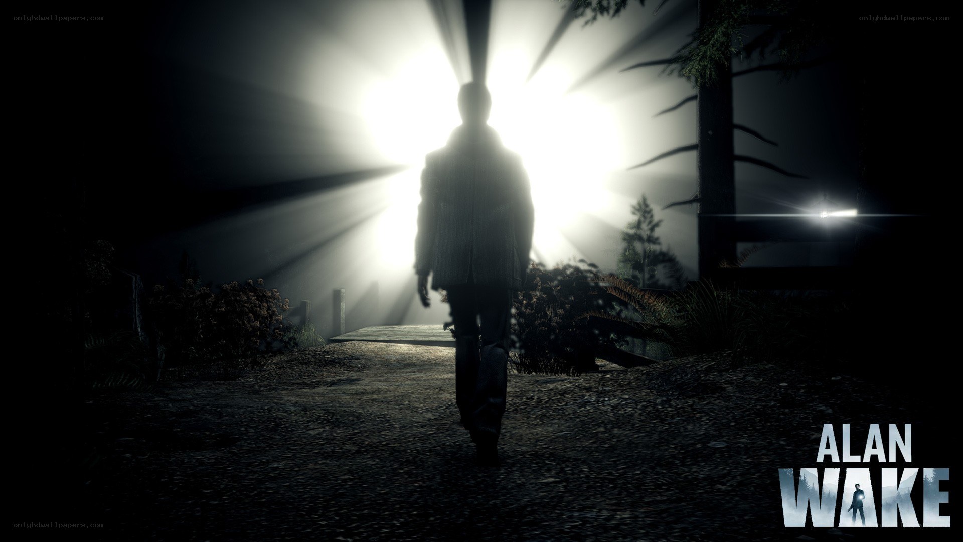 Alan Wake silhouette in forest