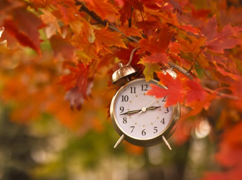 Alarm Clock in Autumn Leaves