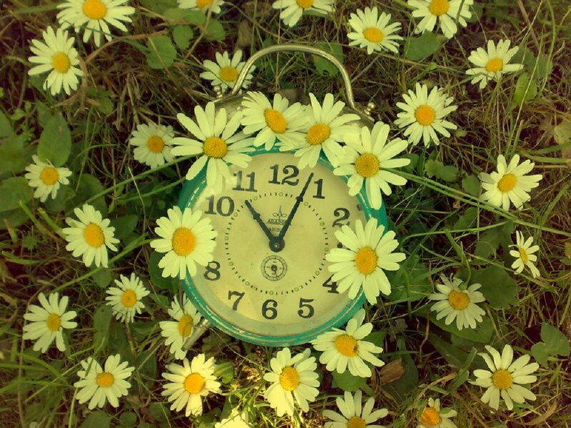Alarm Clock in Daisies