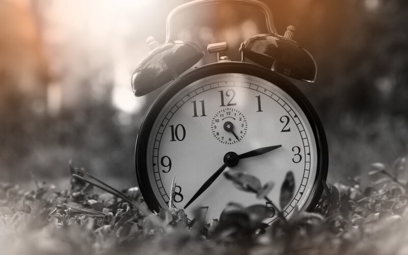 Alarm Clock in Grass — Black