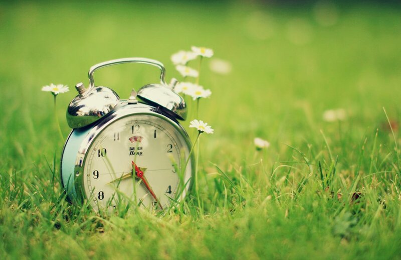 Alarm Clock in Grass — Green