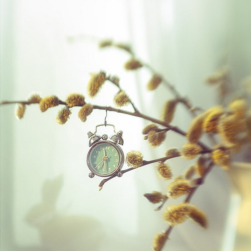 Alarm Clock on Branch