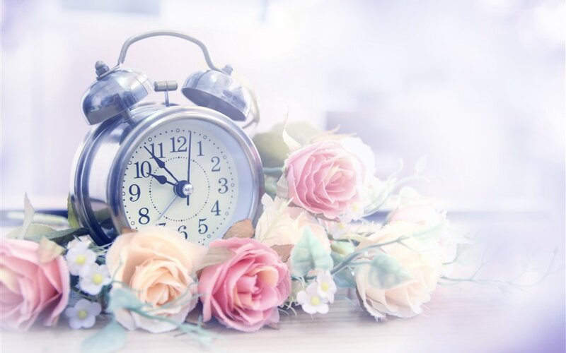 Alarm Clock with Flowers — Pink, Serene, Morning, Photograph