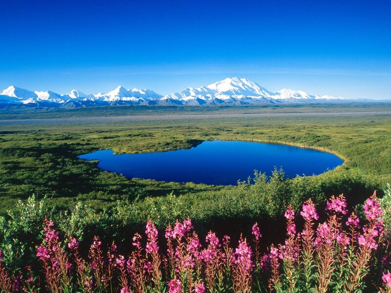 Alaska landscape with mountain