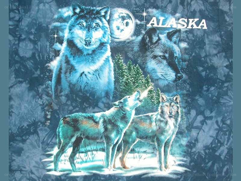 Alaska wolf pack artwork
