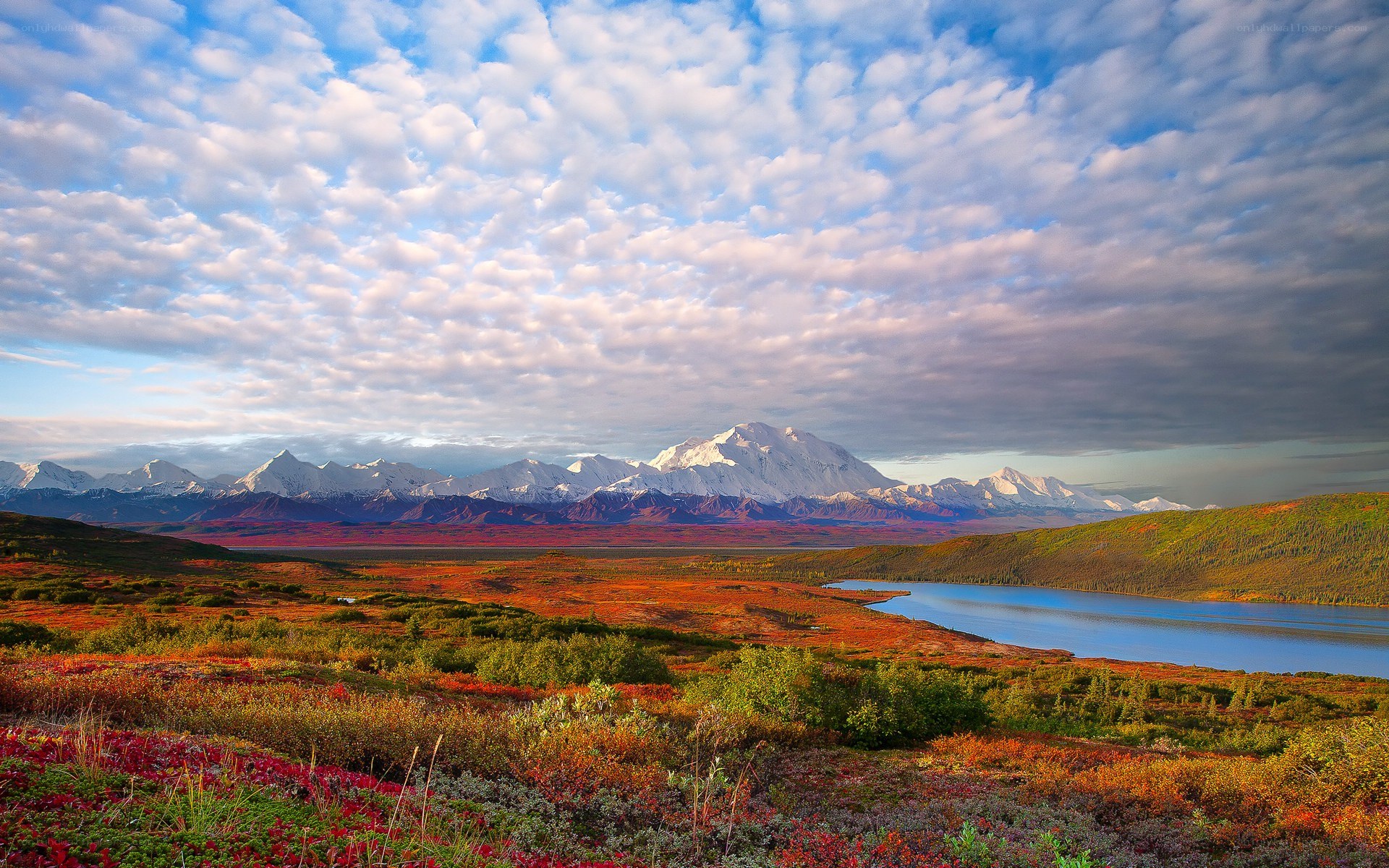 Alaskan mountain landscape