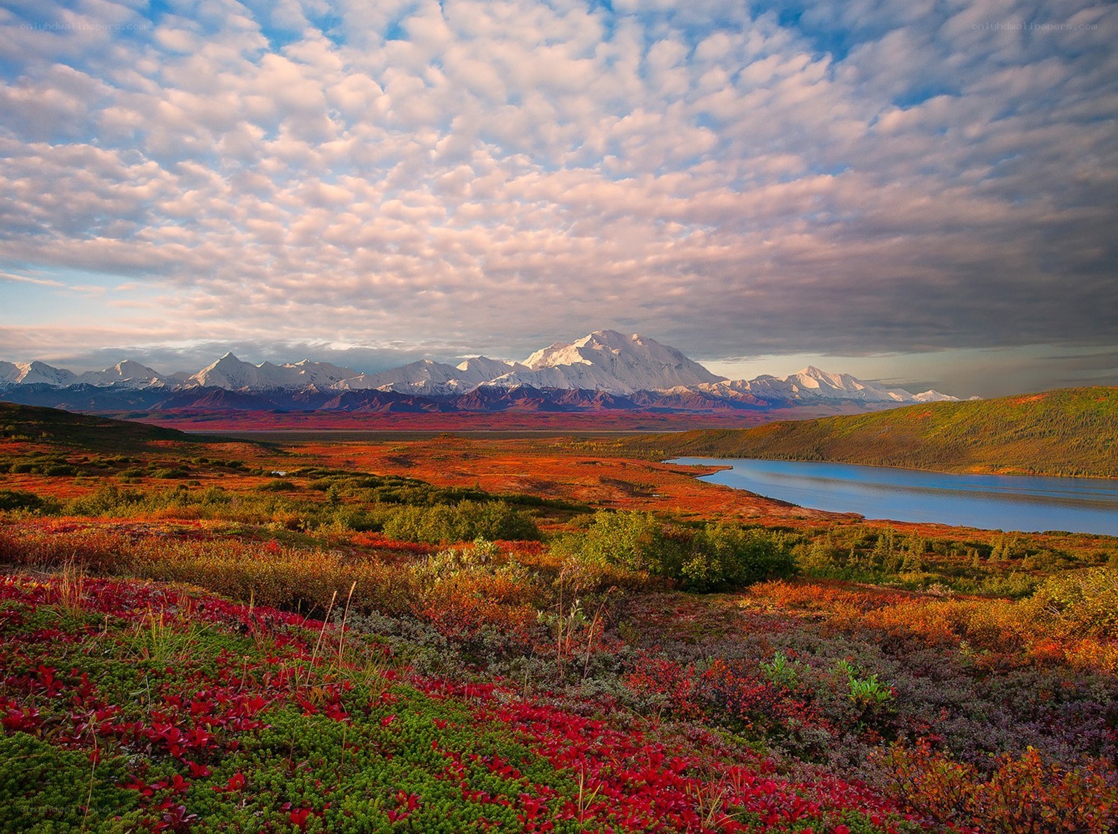 Alaskan mountain landscape