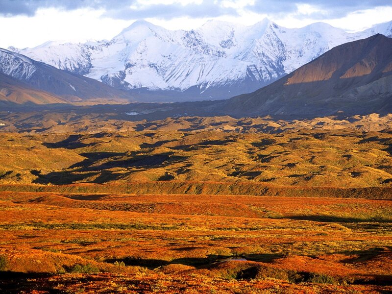 Alaskan tundra with snow-capped mountains