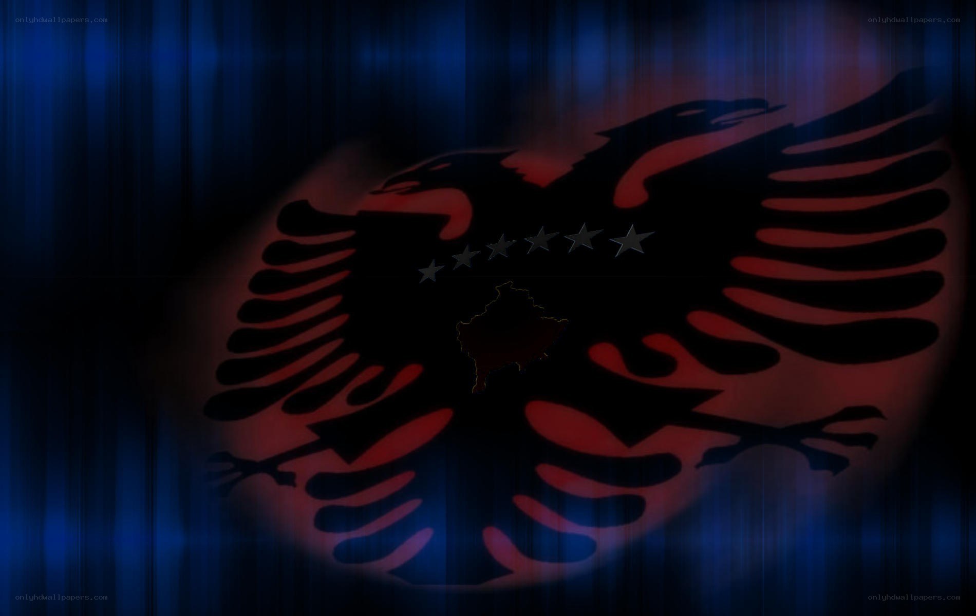 Albanian eagle with stars