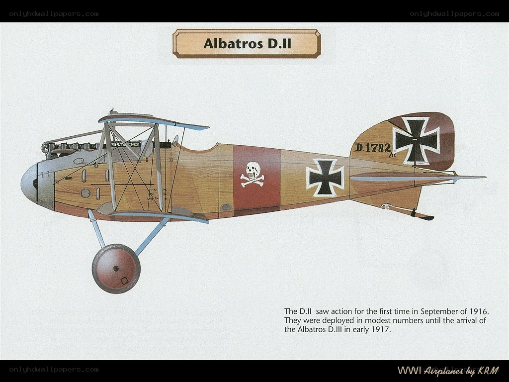 Albatros D.II aircraft