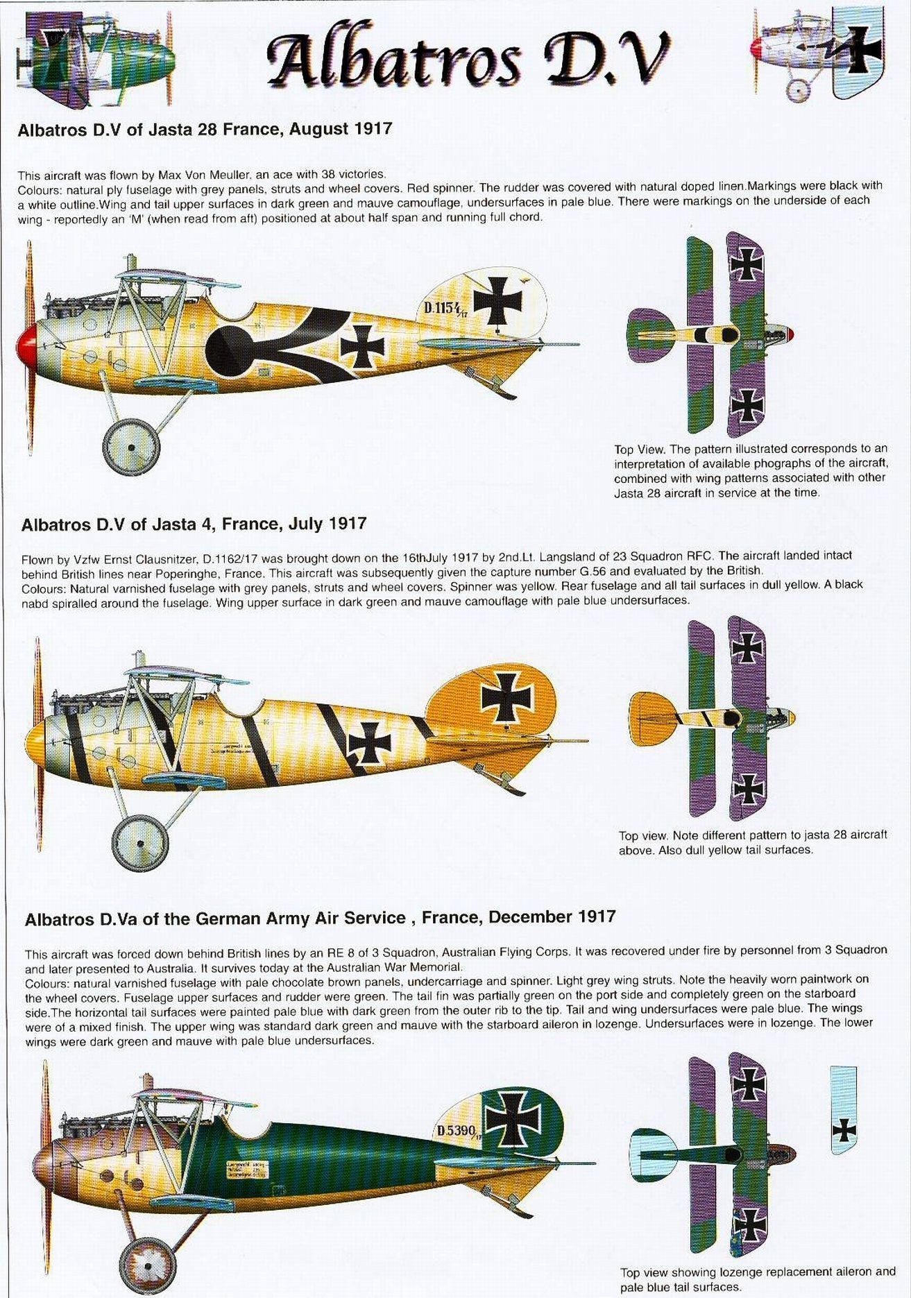 Albatros D.V aircraft profiles