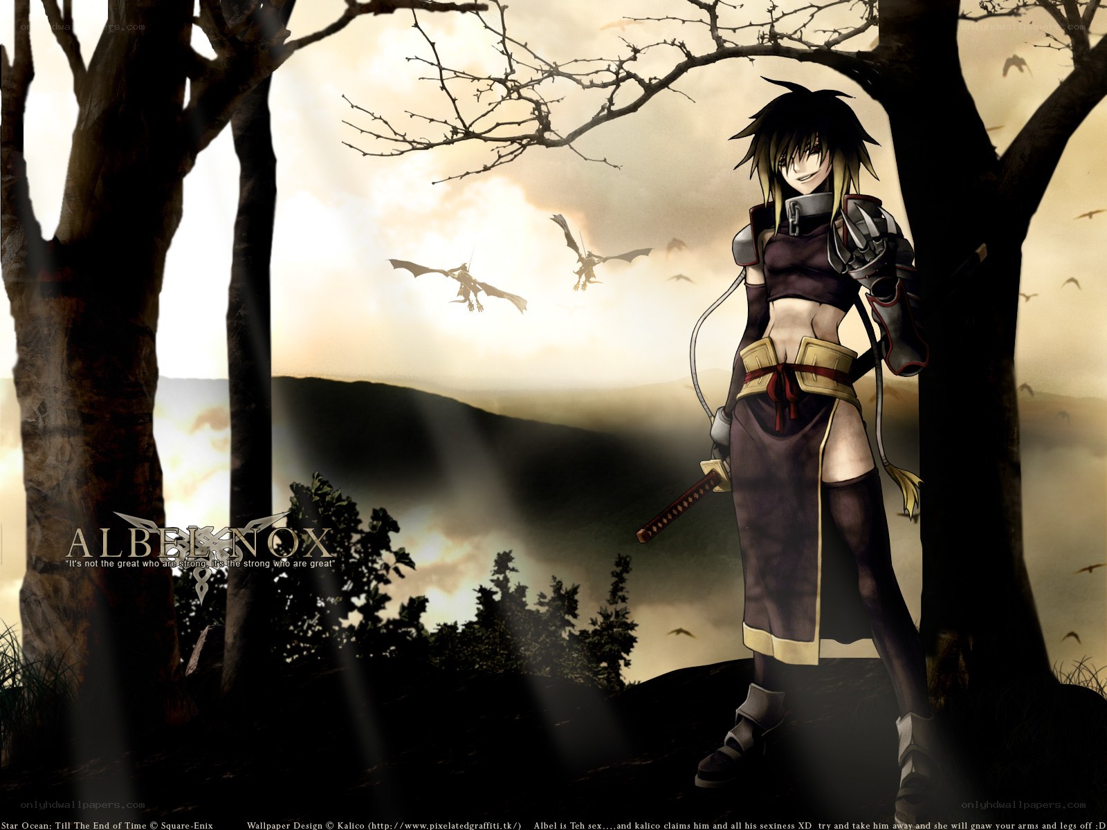 Albel Nox character art