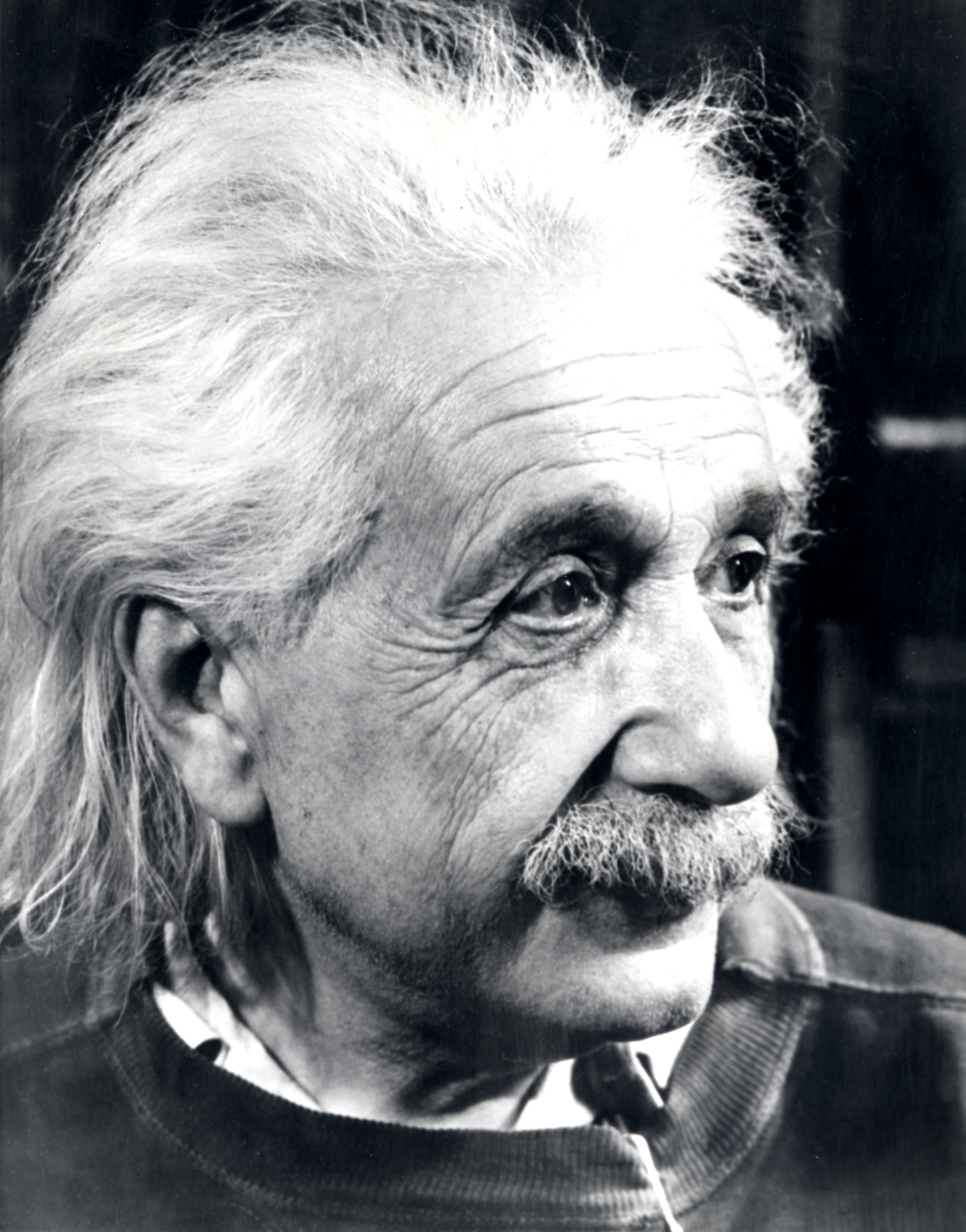 Albert Einstein portrait