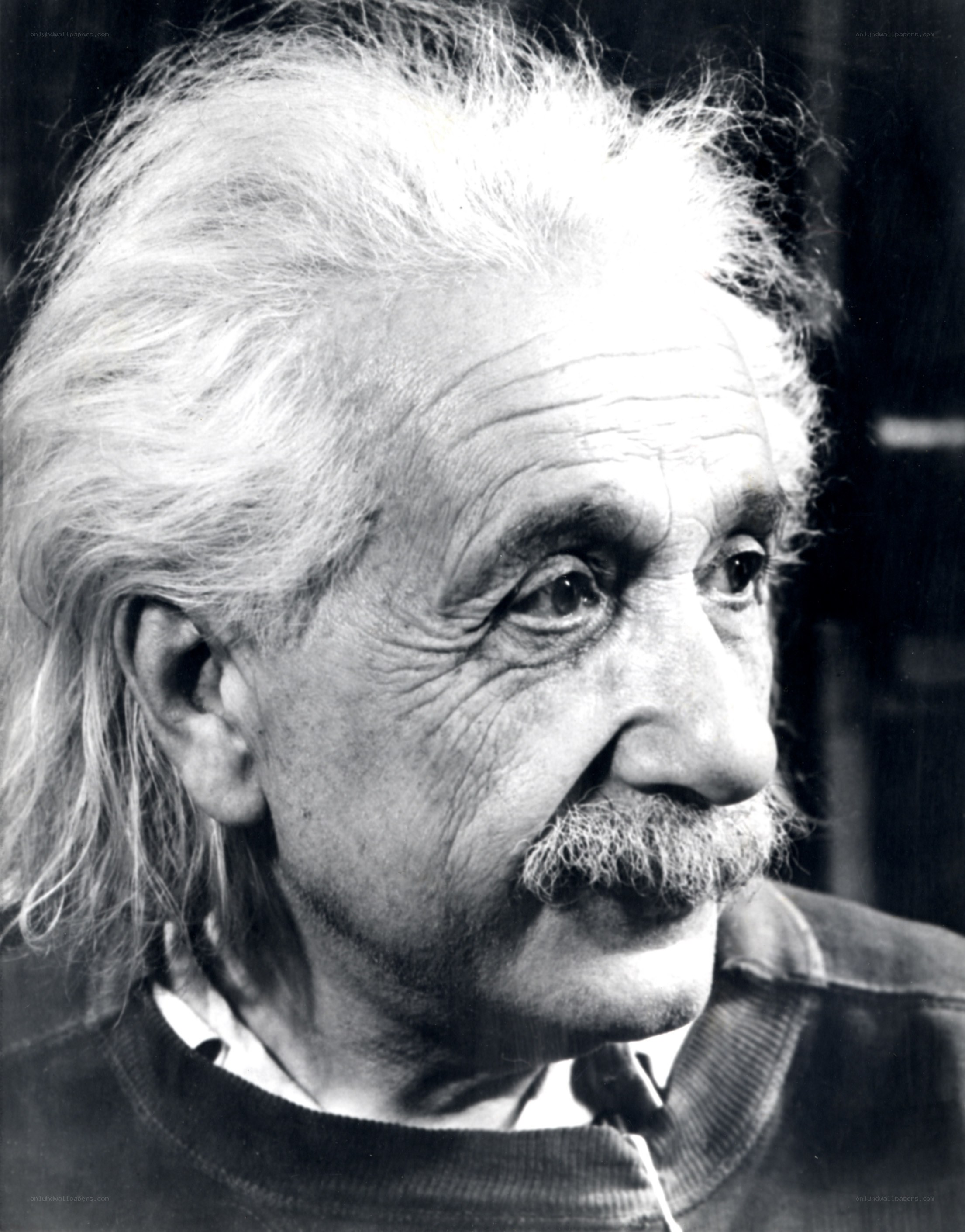 Albert Einstein portrait