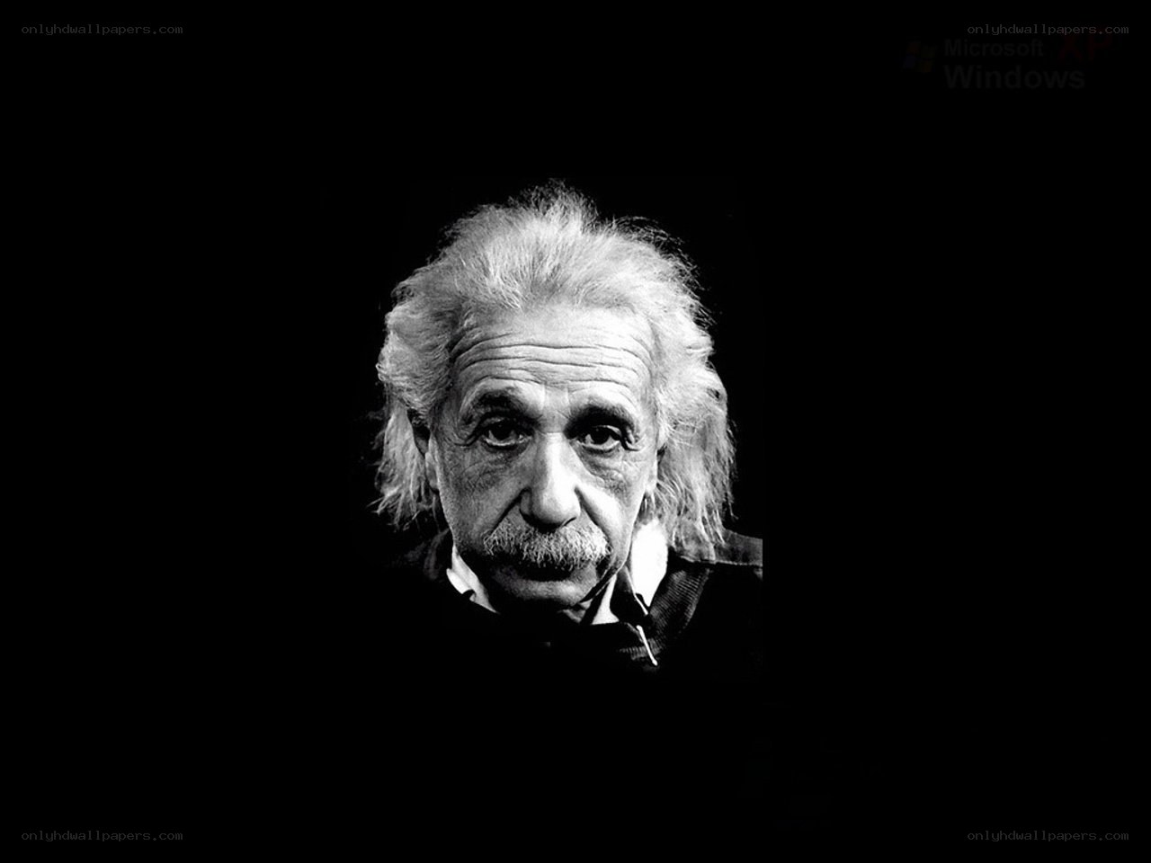 Albert Einstein portrait