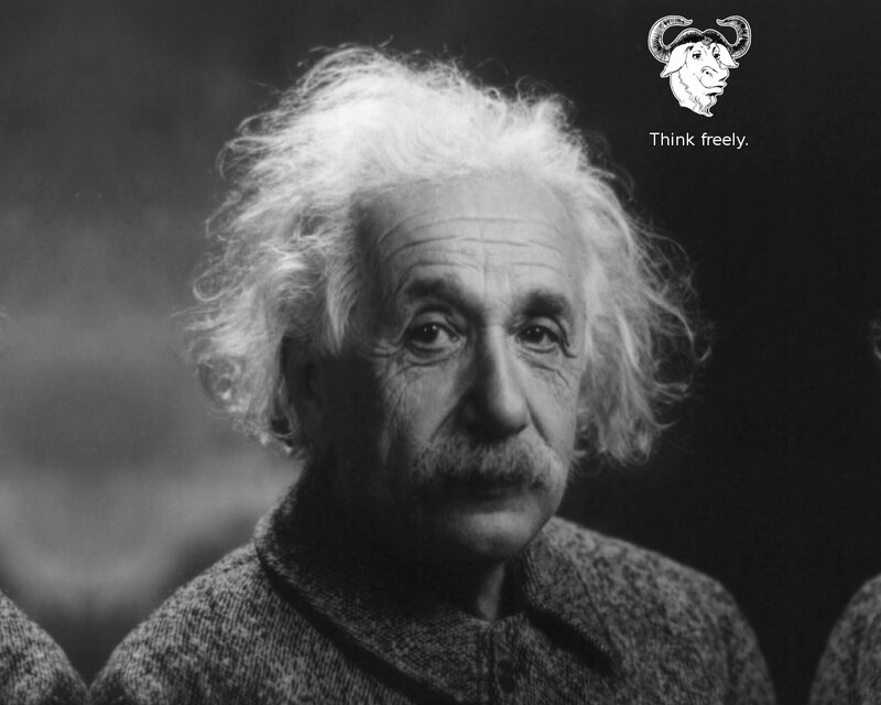 Albert Einstein Portrait — Black, Serious, Photograph, White Hair
