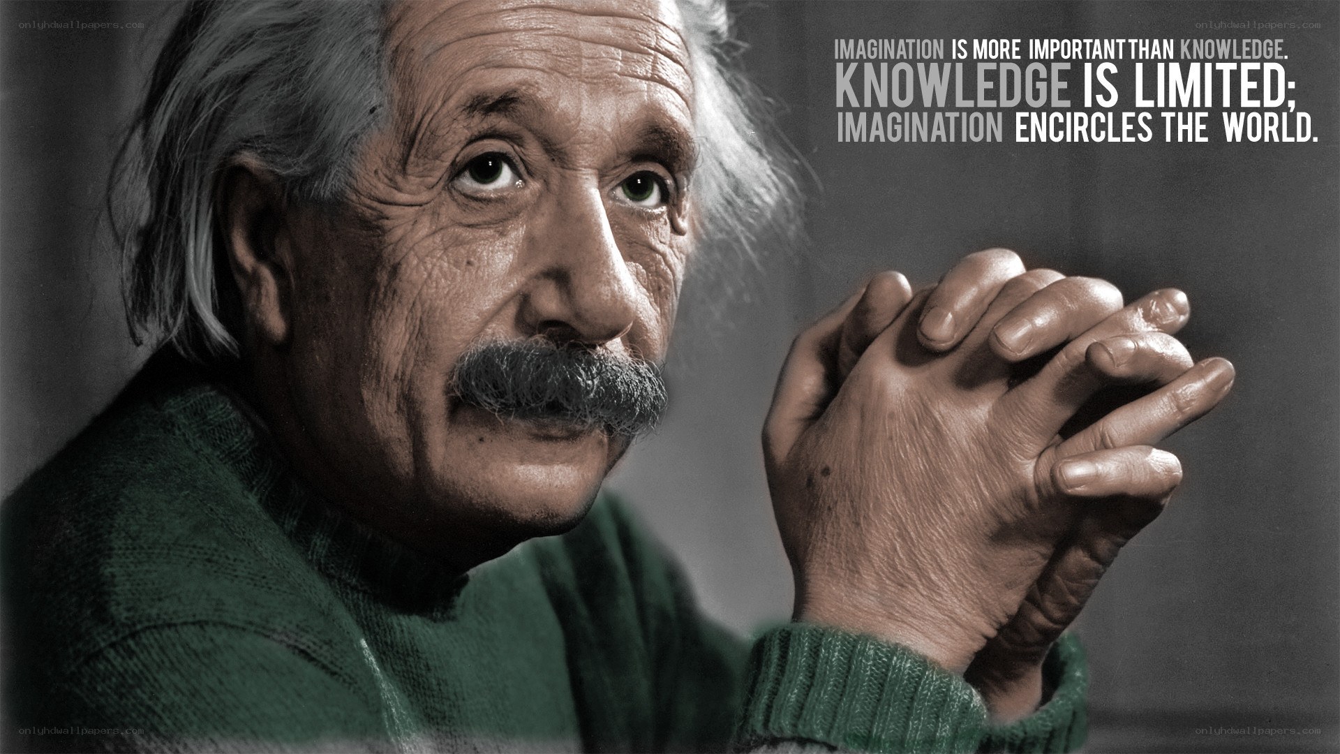 Albert Einstein quote image