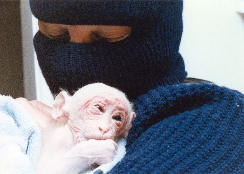 Albino Baby Monkey