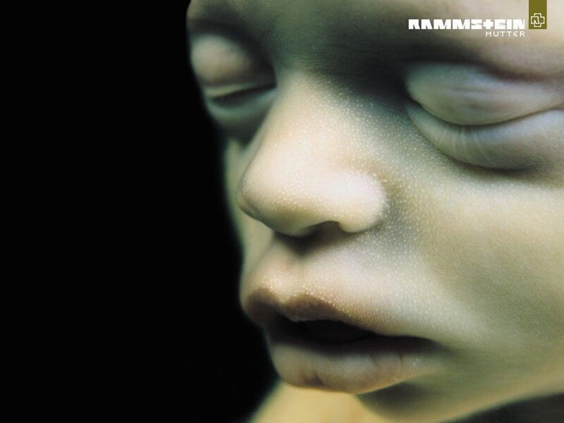 album cover of Rammstein's Mutter