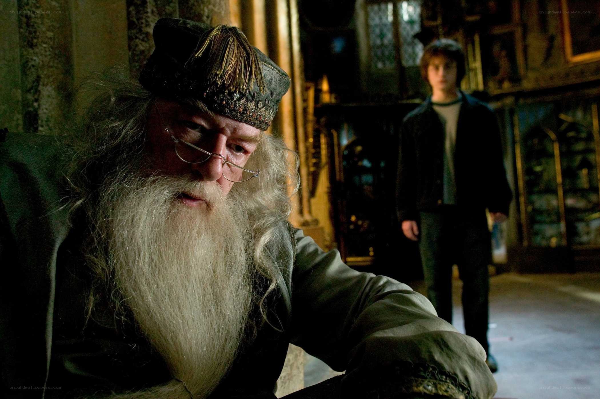 Albus Dumbledore and Harry Potter