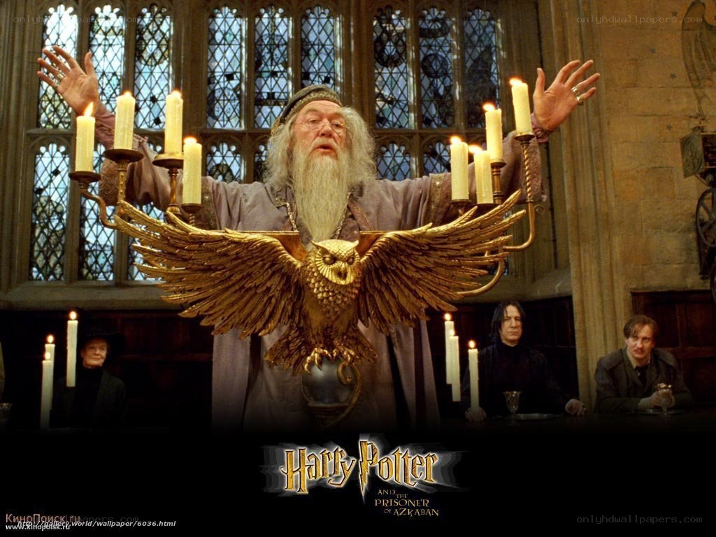 Albus Dumbledore at Hogwarts