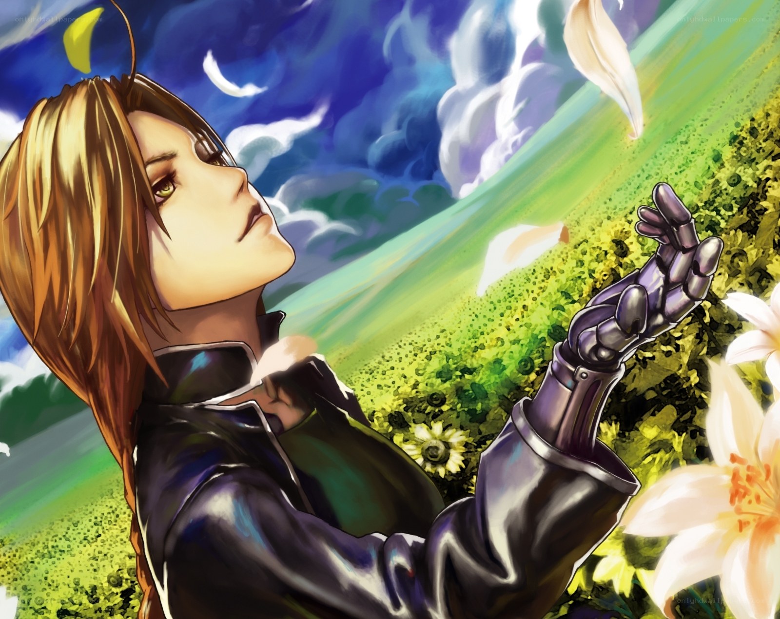 alchemist in a flower field