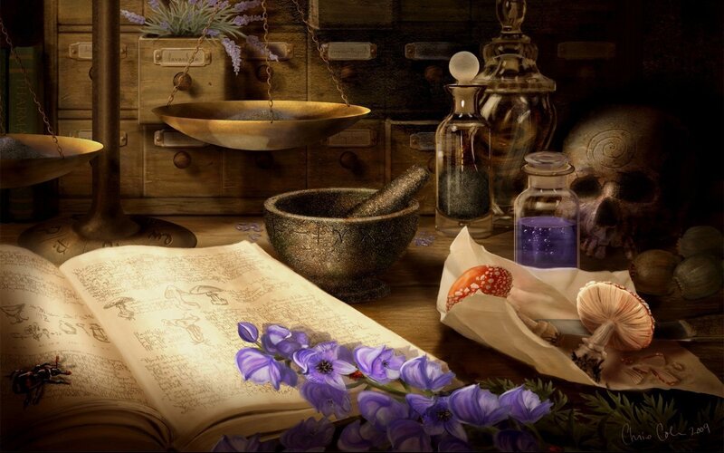Alchemy lab with book and mushrooms
