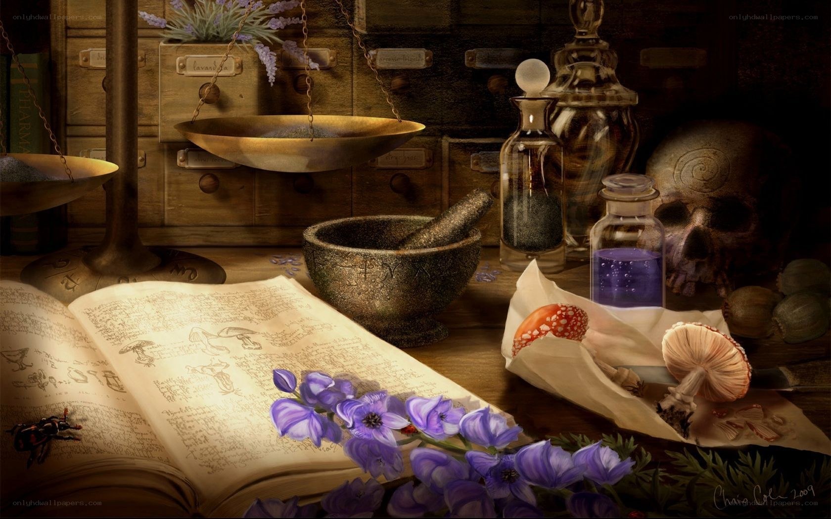 Alchemy lab with book and mushrooms