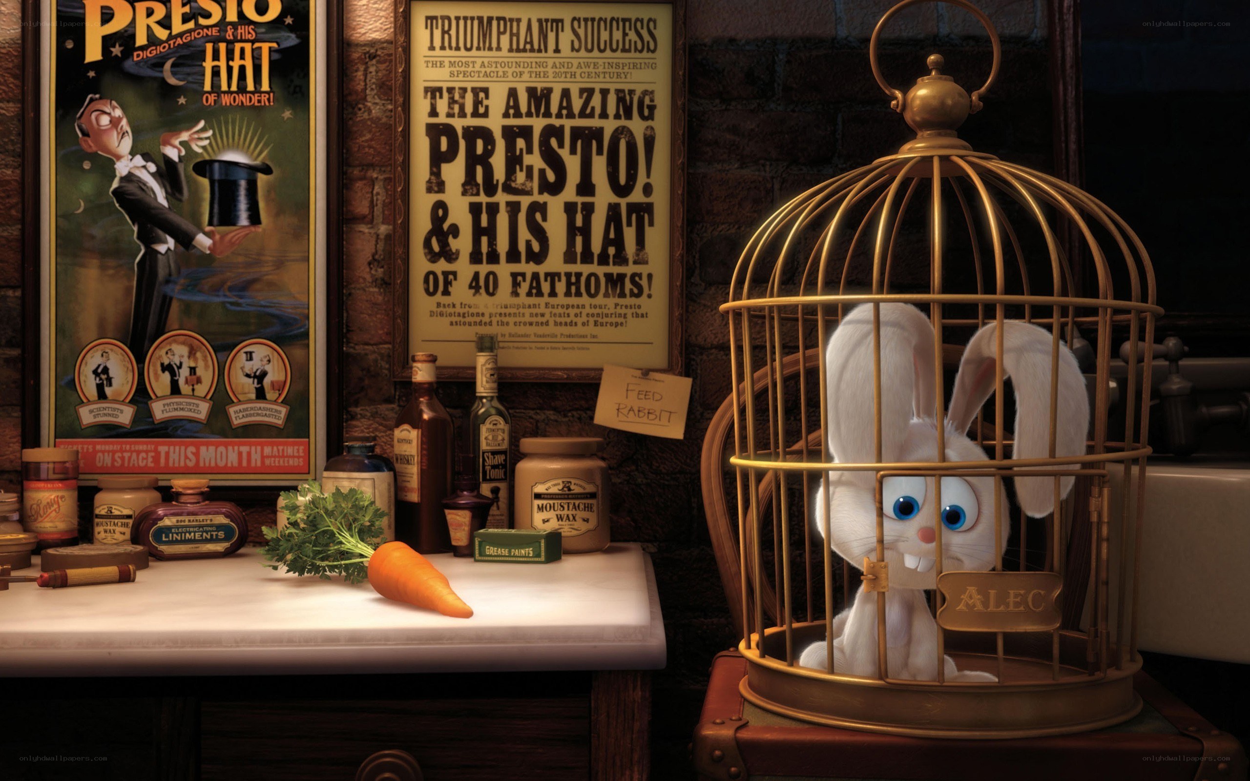 Alec the rabbit in a cage