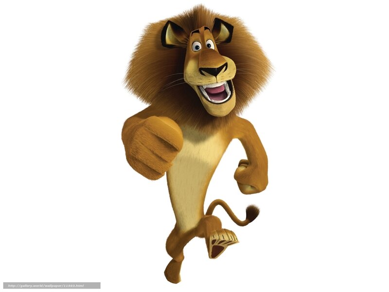 Alex the lion running