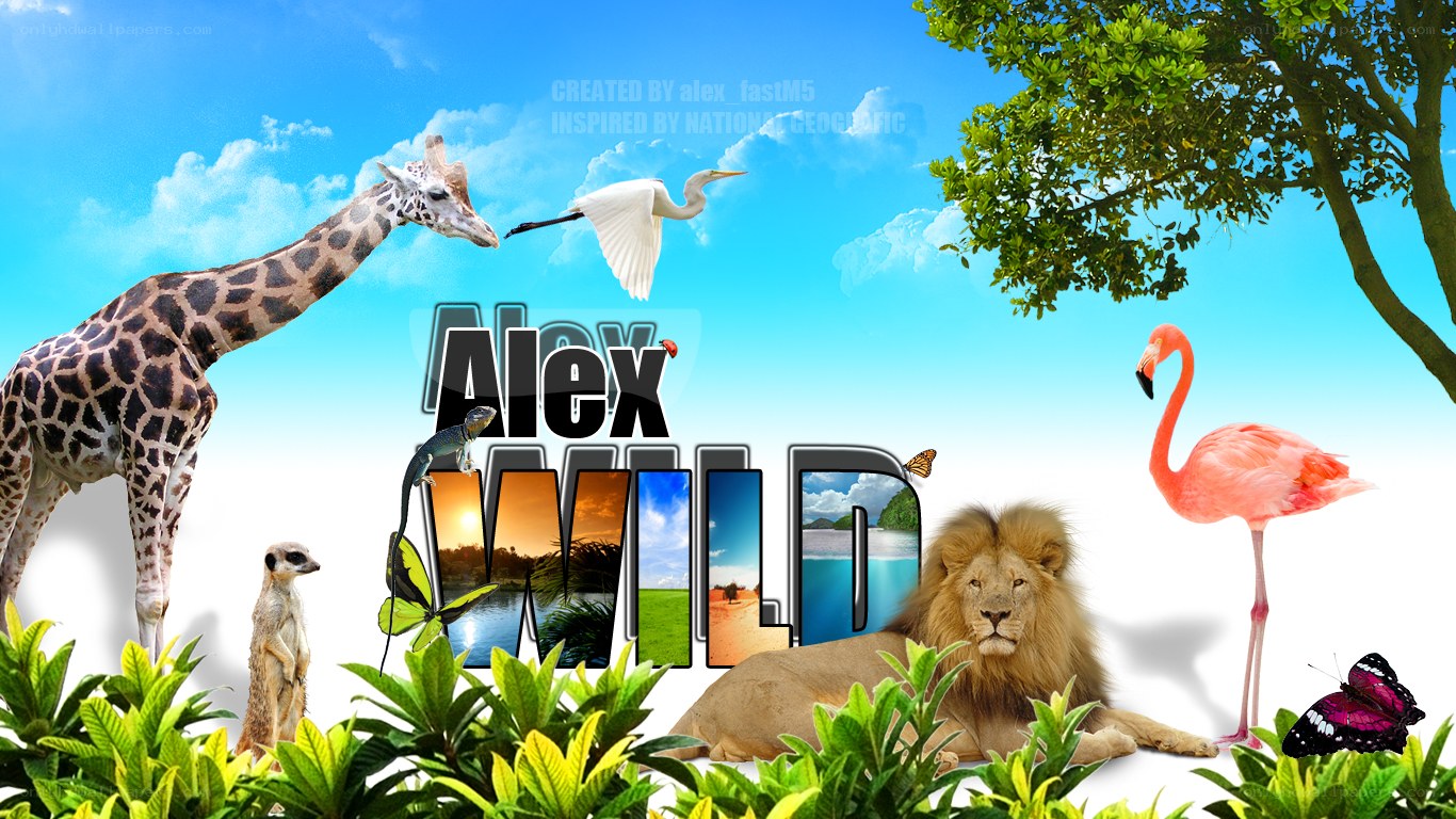 Alex Wild Nature Collage