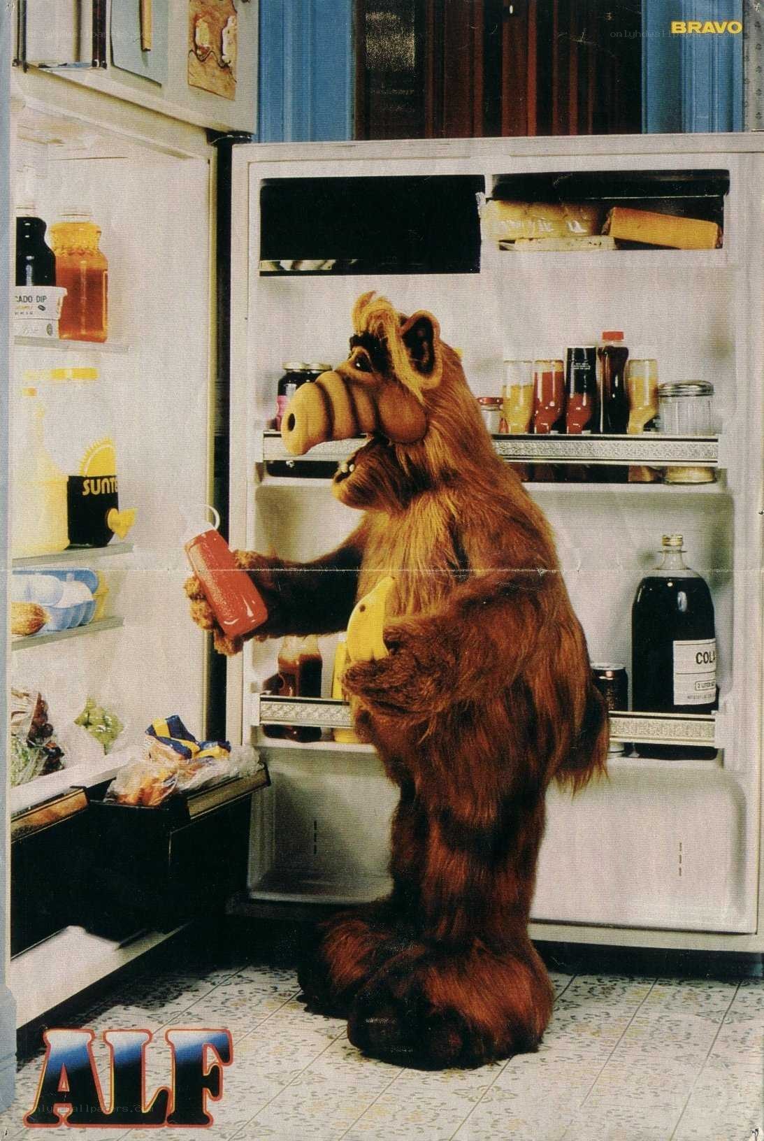 Alf in a refrigerator
