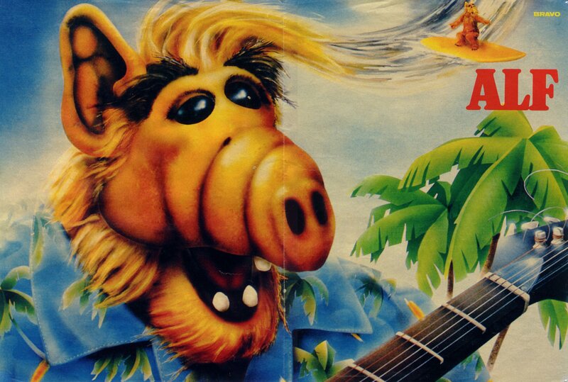 Alf on a tropical adventure