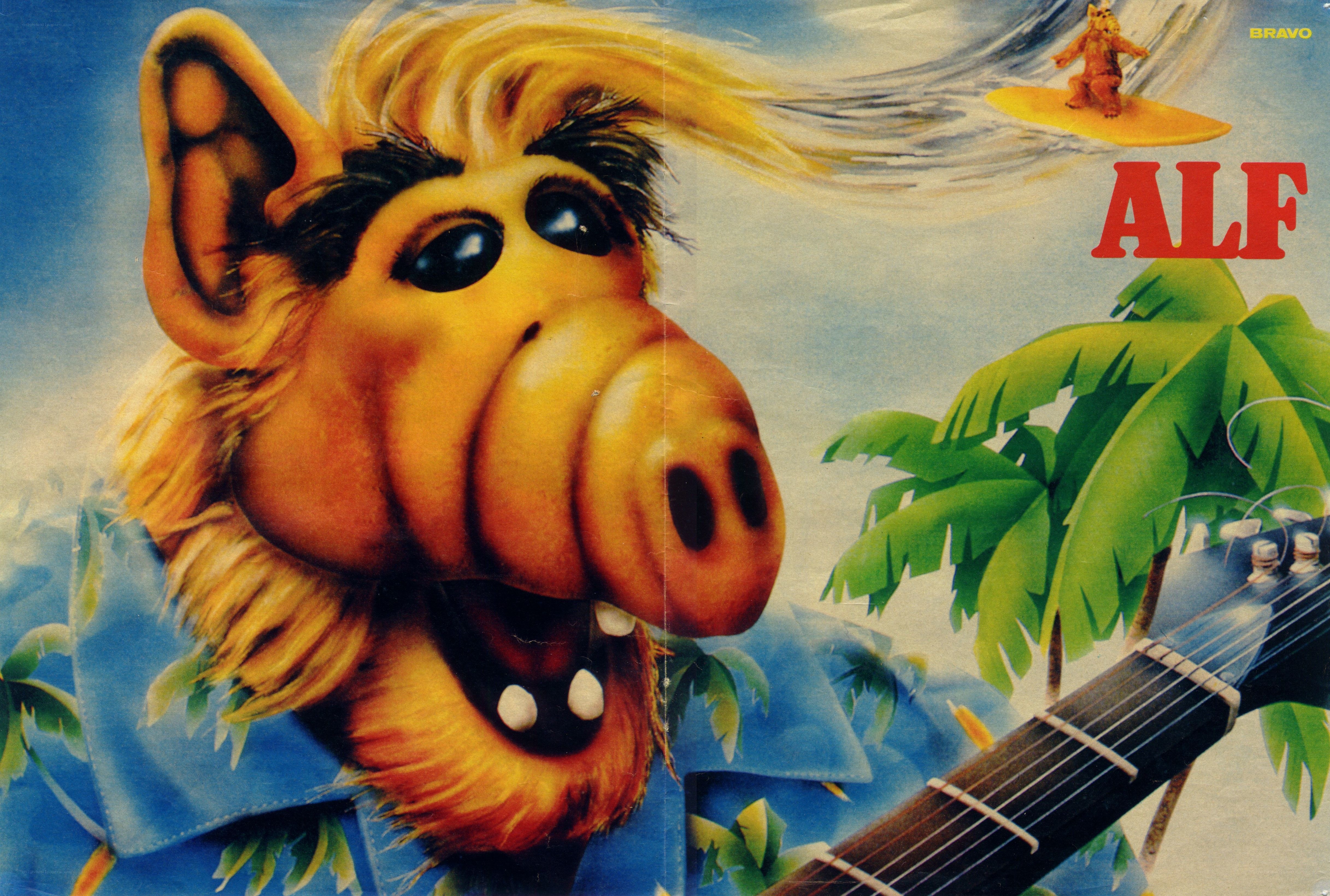 Alf on a tropical adventure