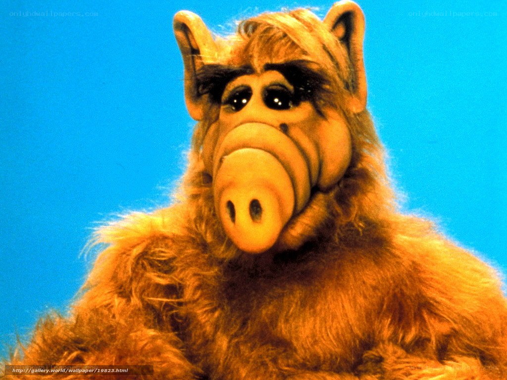 Alf the alien character