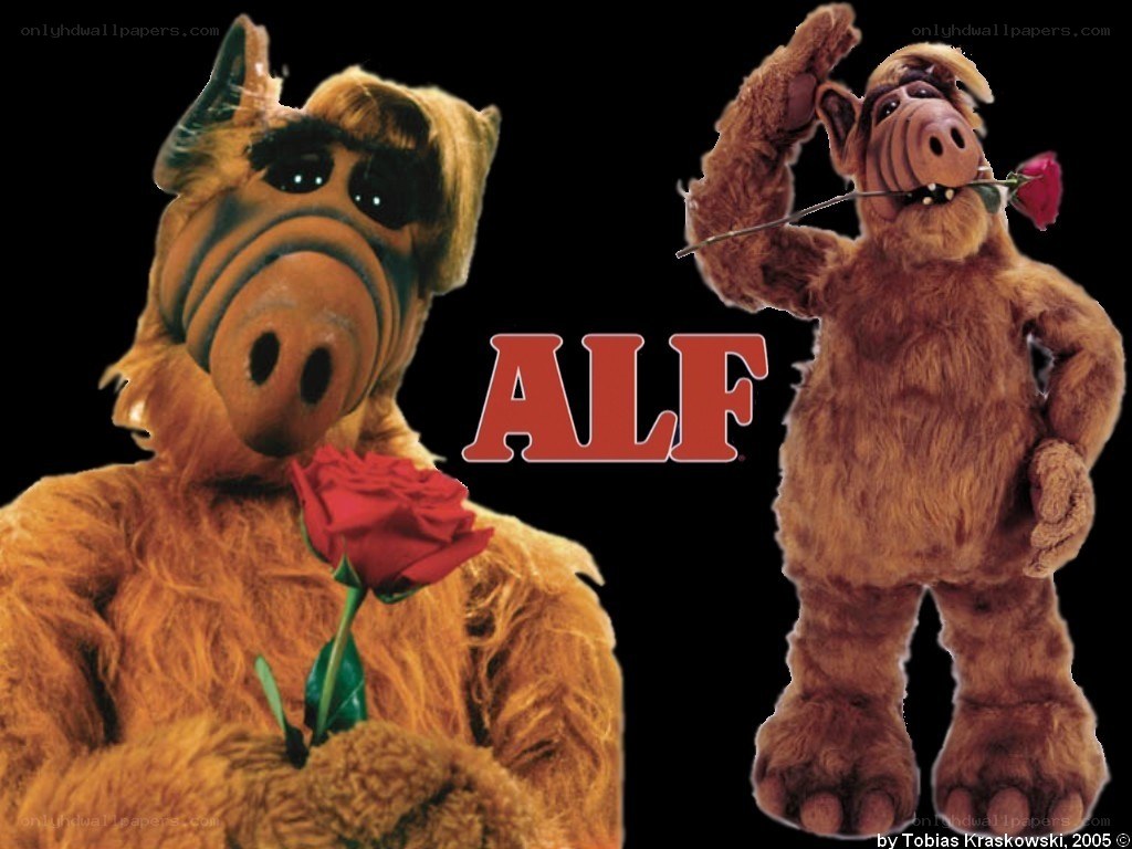 Alf the alien with roses