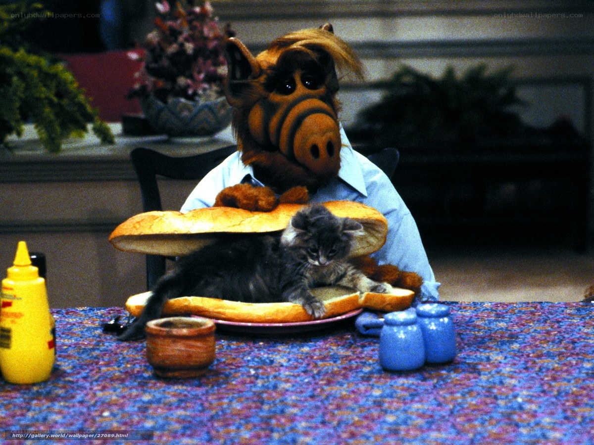 ALF with a kitten on a bun