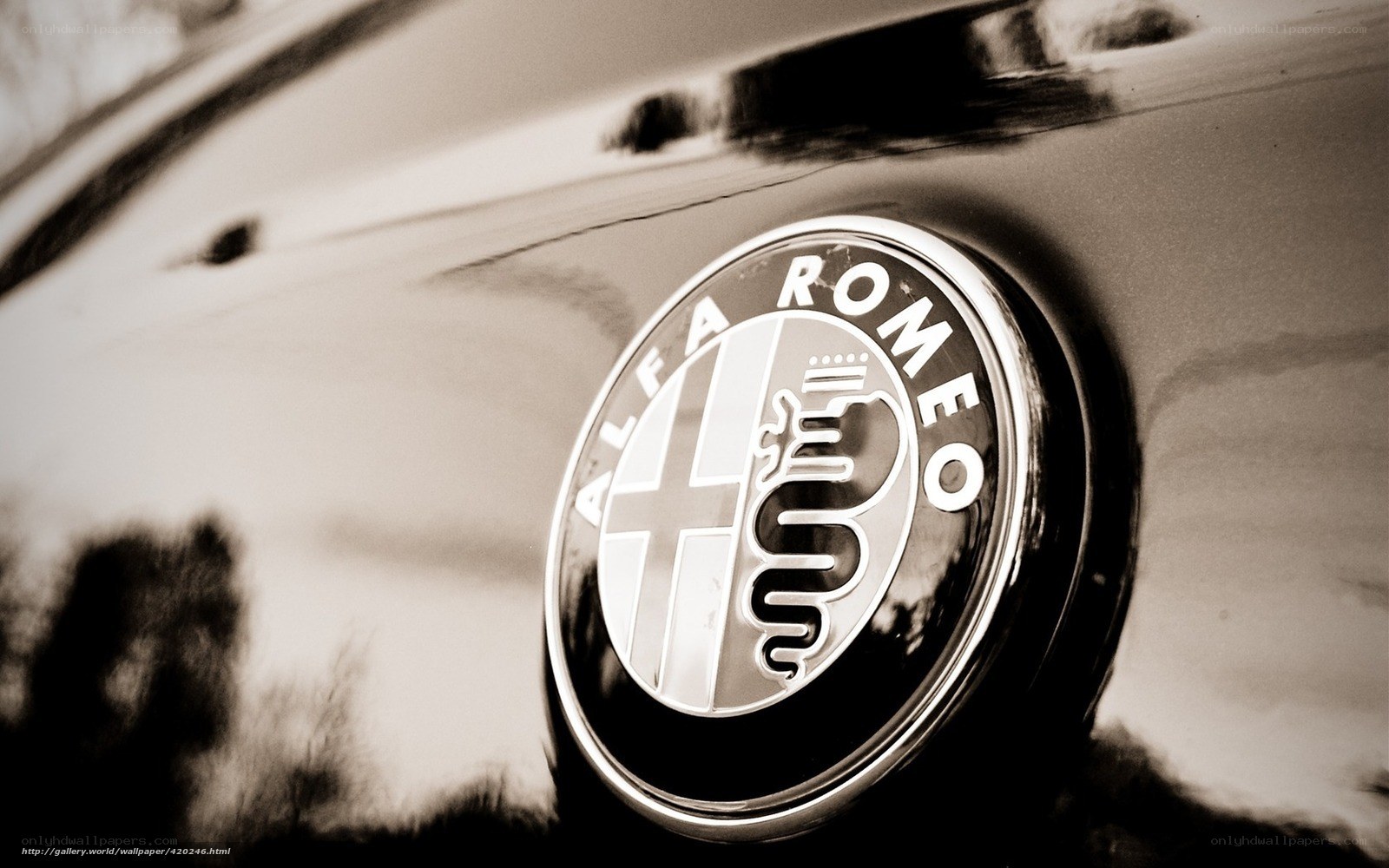 Alfa Romeo emblem close-up