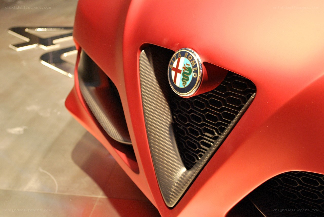 Alfa Romeo front grille detail