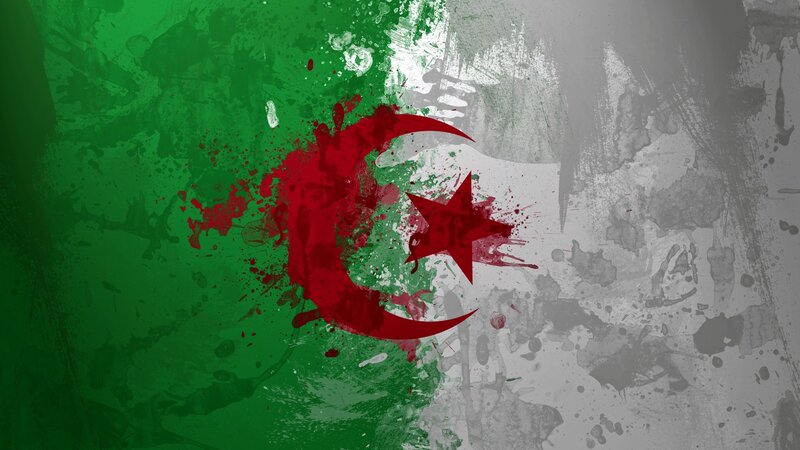 Algerian Flag Splatter