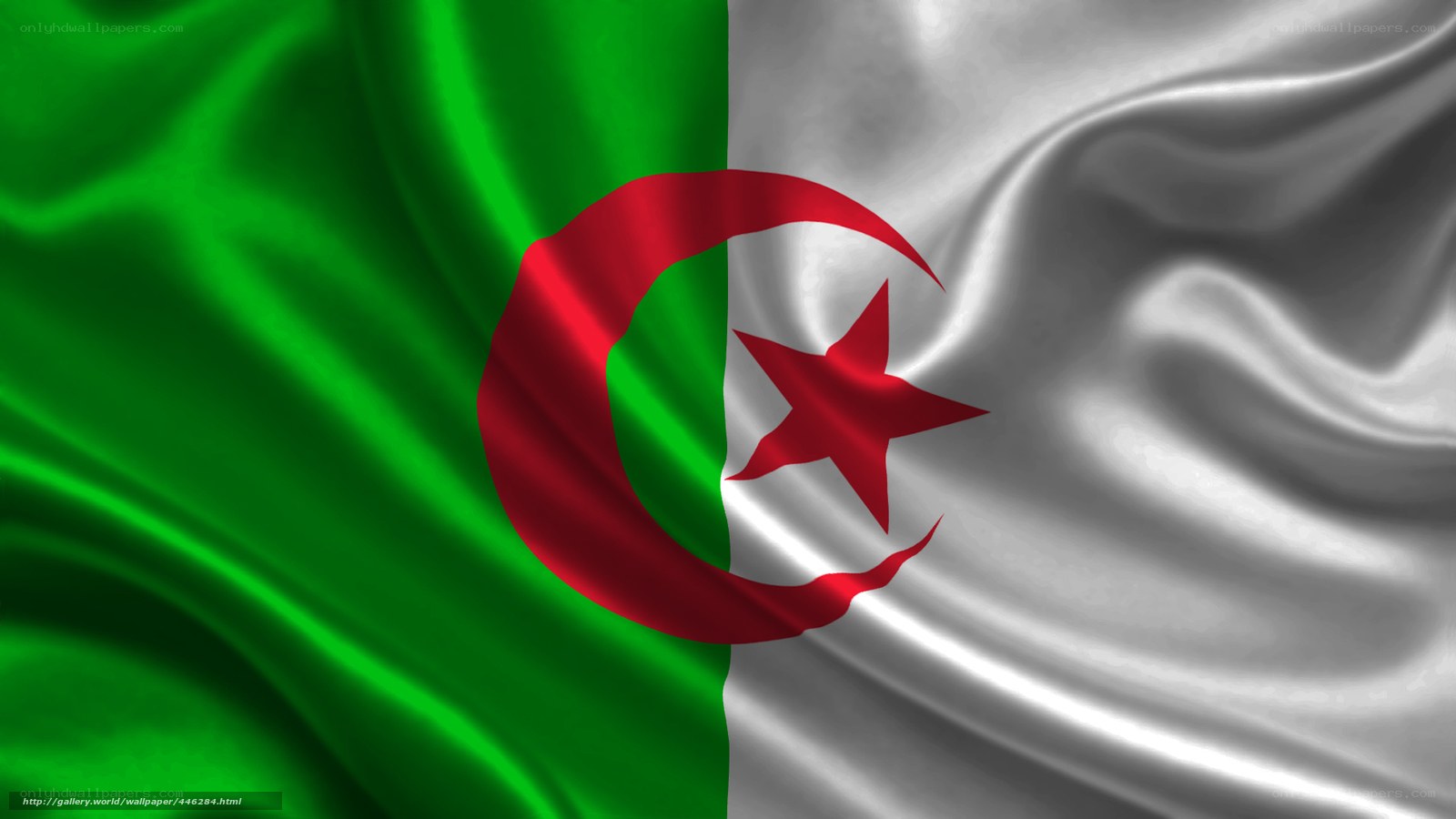 Algerian flag waving