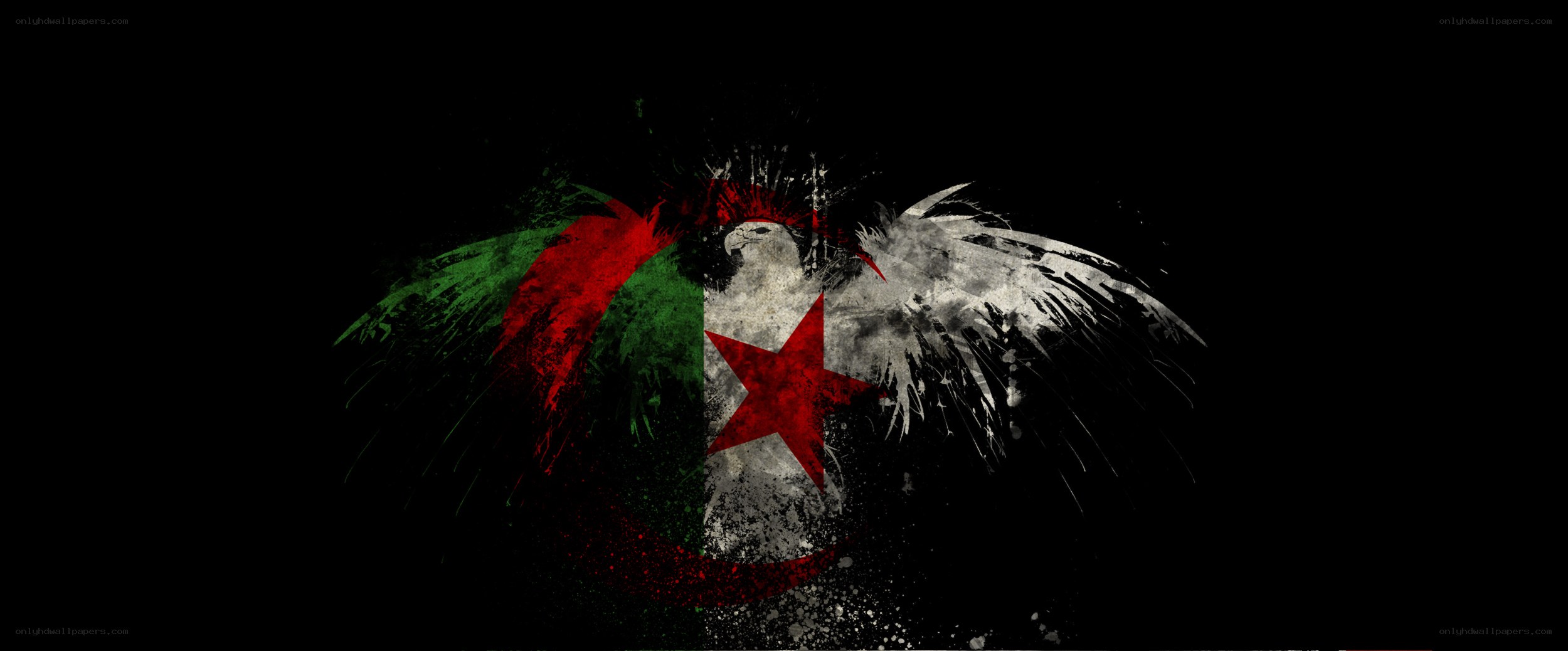 Algerian flag with eagle