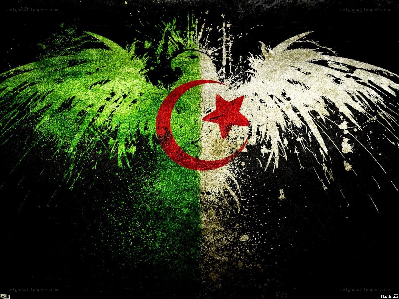 Algerian flag with wings