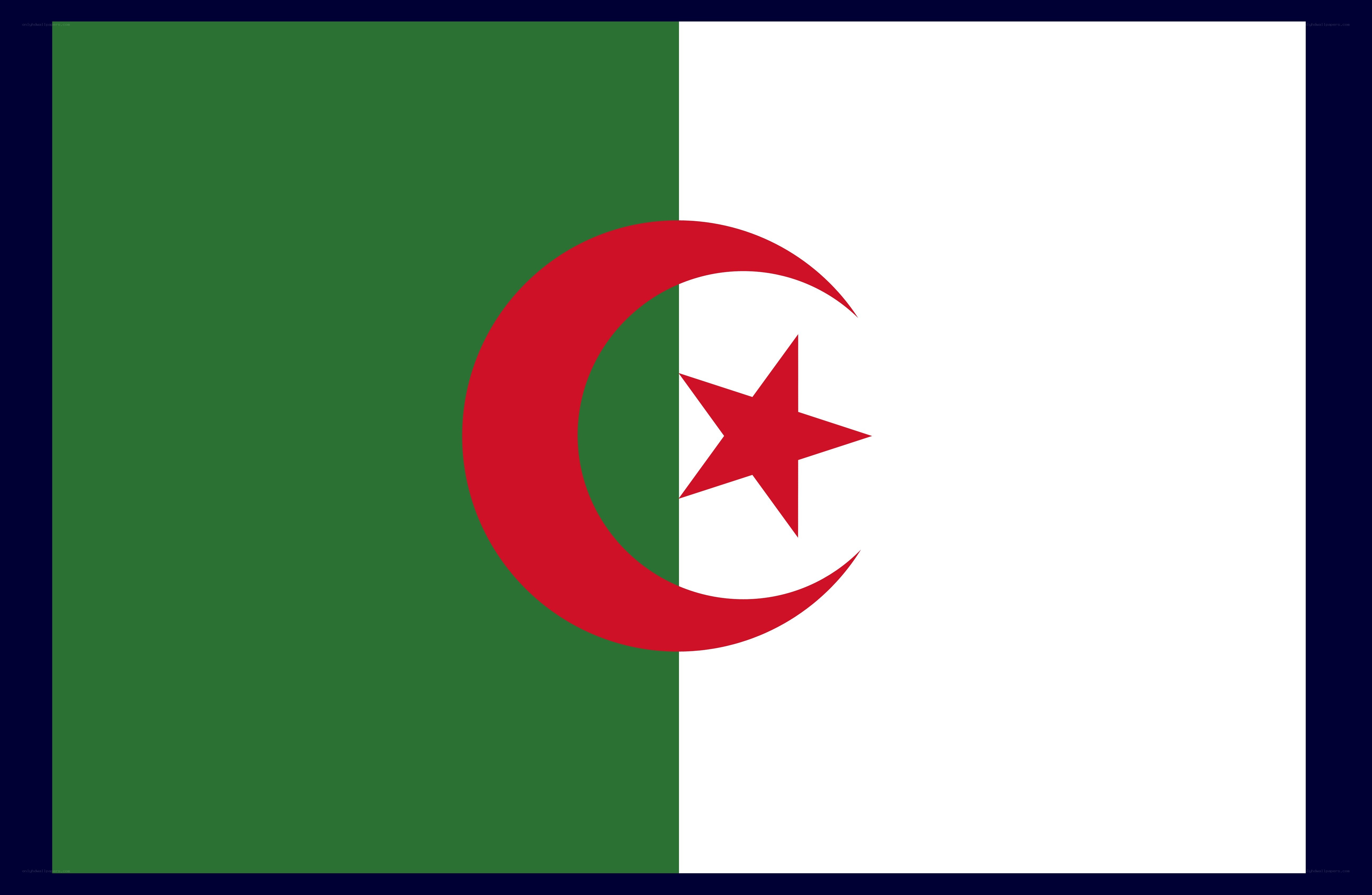 Algerian flag