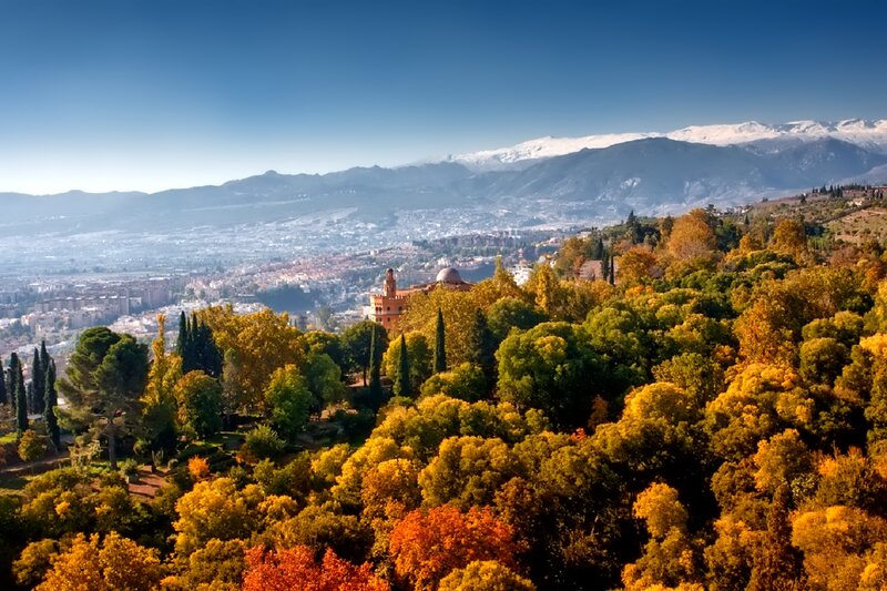 Alhambra Palace View