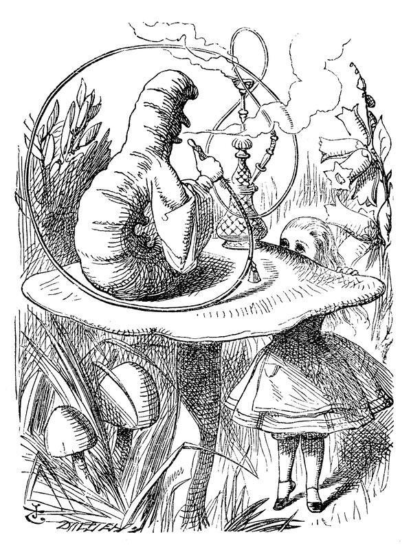 Alice and Caterpillar — Black