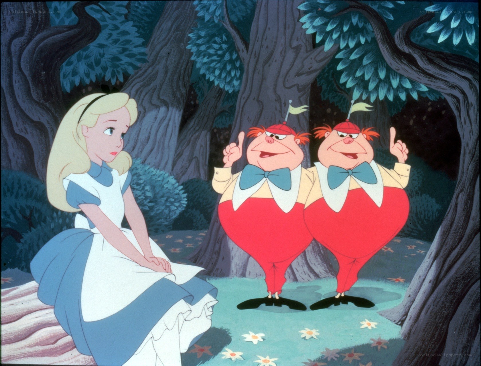 Alice and the Tweedledues