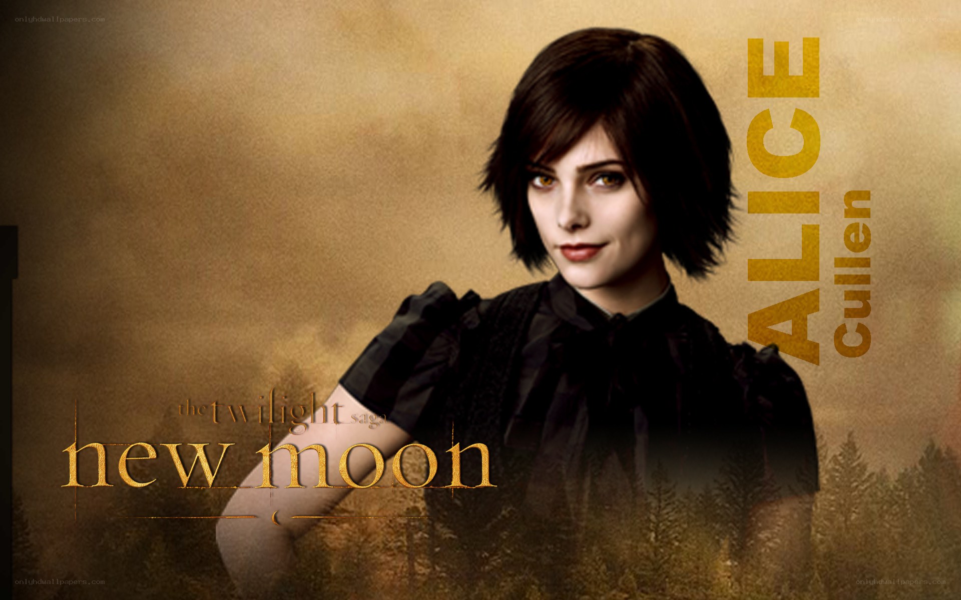 Alice Cullen from New Moon